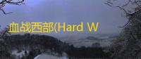 血战西部(Hard West) 中文版